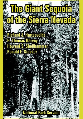 【预售】The Giant Sequoia of the Sierra Nevada