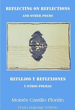 【预售】Reflecting on Reflections