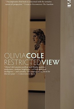 【预售】Restricted View