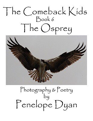 【预售】The Comeback Kids, Book 6, the Osprey
