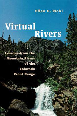 【预售】Virtual Rivers: Lessons from the Mountain Rivers of