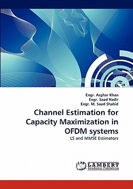 【预售】Channel Estimation for Capacity Maximization in Ofdm