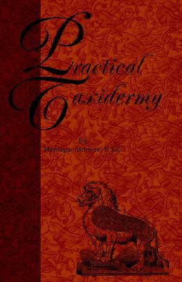 【预售】Practical Taxidermy - A Manual of Instruction to the