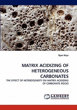 【预售】Matrix Acidizing of Heterogeneous Carbonates