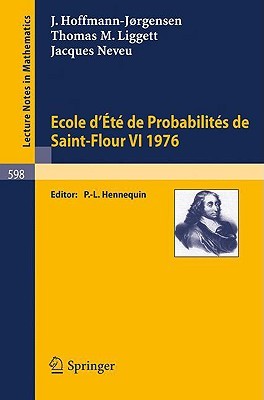 【预售】Ecole D'Ete de Probabilites de Saint-Flour VI, 1976