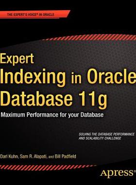 【预售】Expert Indexing in Oracle Database 11g: Maximum