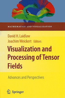 【预售】Visualization and Processing of Tensor Fields: