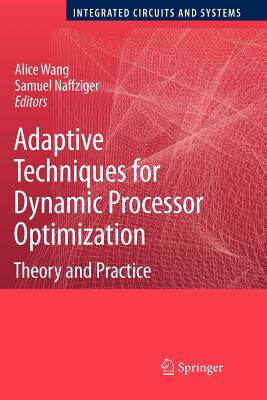 【预售】Adaptive Techniques for Dynamic Processor