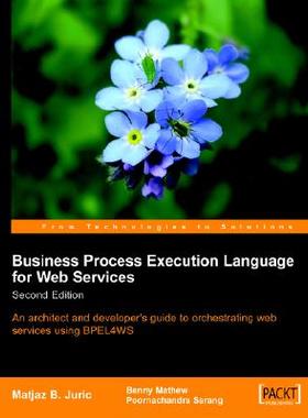 【预售】Business Process Execution Language for Web Services