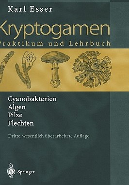 【预售】Kryptogamen 1: Cyanobakterien Algen Pilze Flechten