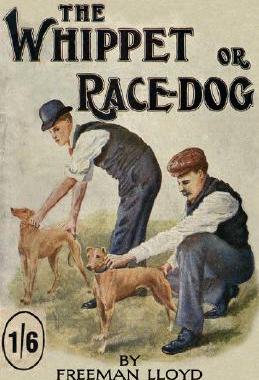 【预售】The Whippet or Race Dog: Its Breeding, Rearing, and