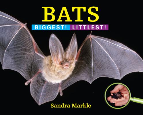 【预售】Bats: Biggest! Littlest!