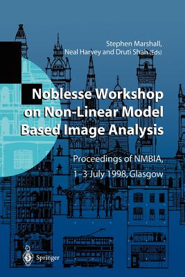 【预售】Noblesse Workshop on Non-Linear Model Based Image