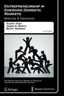 【预售】Entrepreneurship in Emerging Domestic Markets: