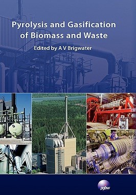 【预售】Pyrolysis and Gasification of Biomass and Waste