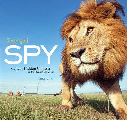 【预售】Serengeti Spy: Views from a Hidden Camera on the