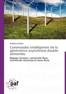 【预售】Commandes Intelligentes de La G N Ratrice Asynchrone