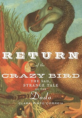 【预售】Return of the Crazy Bird: The Sad, Strange Tale of