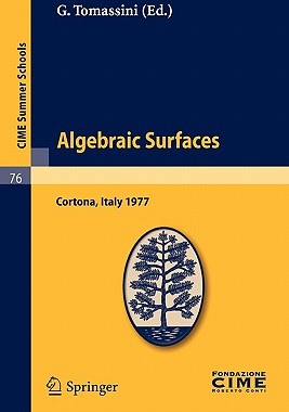 【预售】Algebraic Surfaces: Lectures Given at a Summer