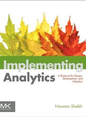 【预售】Implementing Analytics: A Blueprint for Design