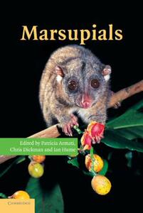 【预售】Marsupials