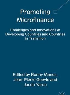 【预售】Promoting Microfinance: Challenges and Innovations