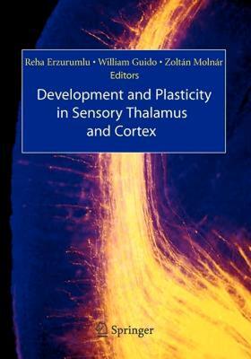 【预售】Development and Plasticity in Sensory Thalamus and