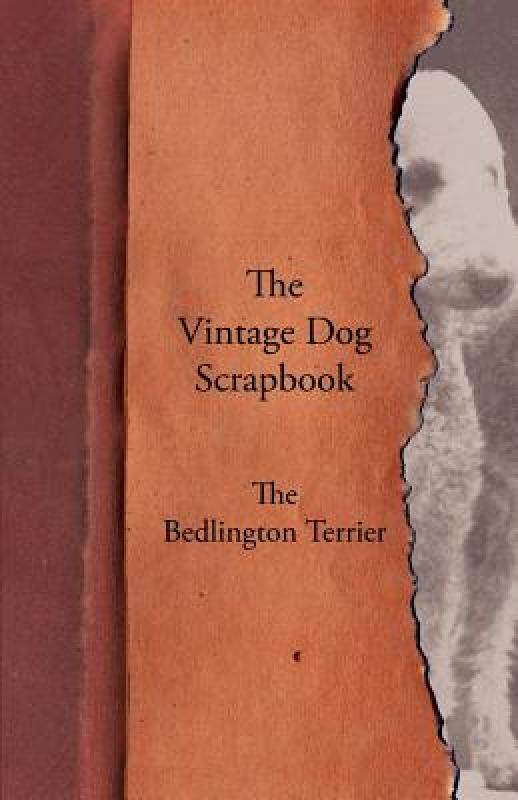【预售】The Vintage Dog Scrapbook - The Bedlington Terrier