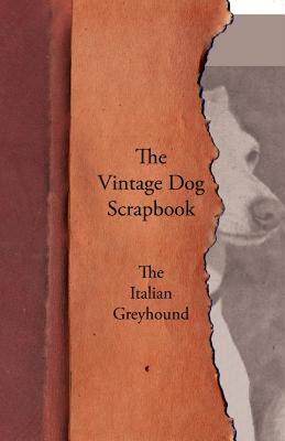 【预售】The Vintage Dog Scrapbook - The Italian Greyhound