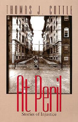 【预售】At Peril: Stories of Injustice