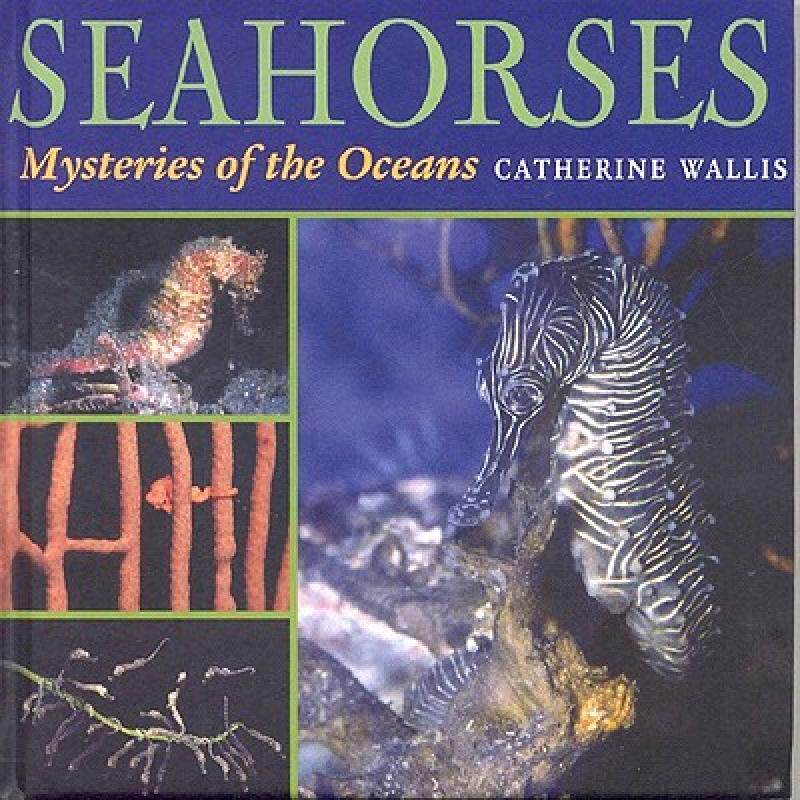 【预售】Seahorses: Mysteries of the Oceans