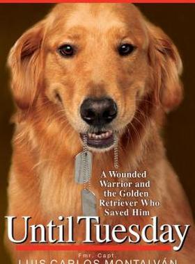 【预售】Until Tuesday: A Wounded Warrior and the Golden