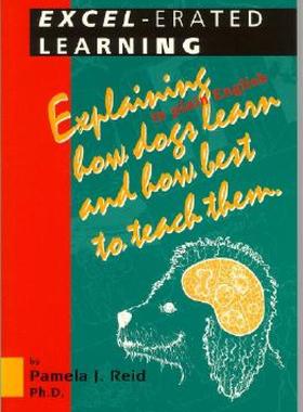 【预售】Excel-Erated Learning: Explaining in Plain English