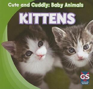 Kittens 预售