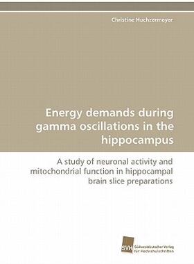 【预售】Energy Demands During Gamma Oscillations in the