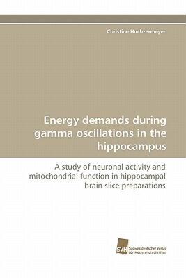 【预售】Energy Demands During Gamma Oscillations in the