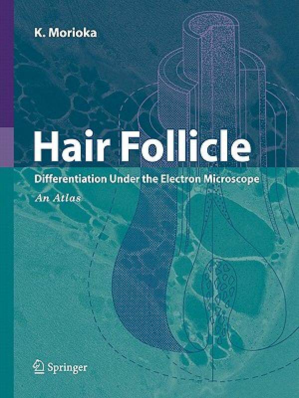 【预售】Hair Follicle: Differentiation Under the Electron