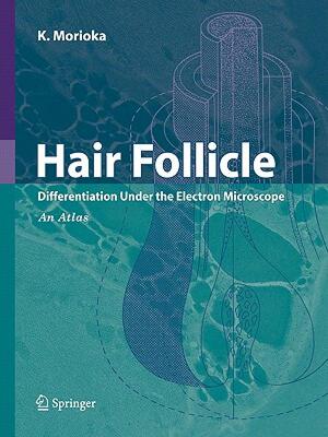 【预售】Hair Follicle: Differentiation Under the Electron