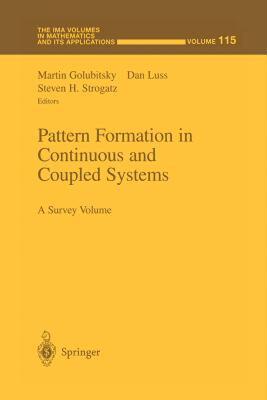 【预售】Pattern Formation in Continuous and Coupled Systems:
