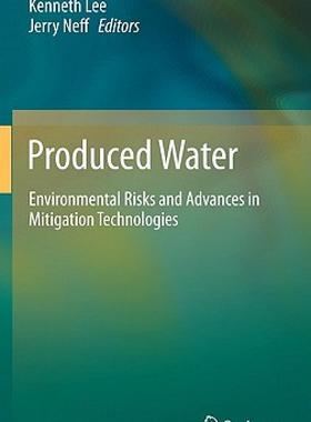 【预售】Produced Water: Environmental Risks and Advances in
