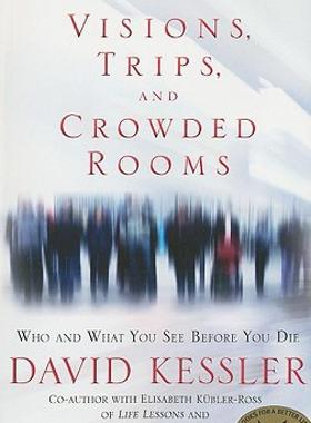 【预售】Visions, Trips, and Crowded Rooms: Who and What You