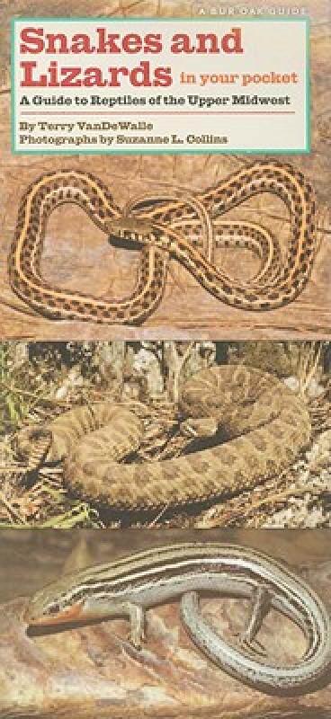 【预售】Snakes and Lizards in Your Pocket: A Guide to