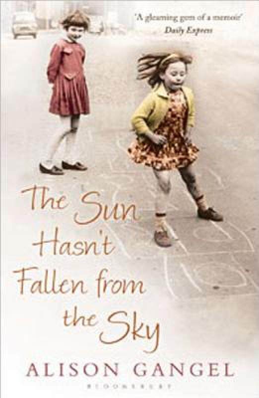 【预售】The Sun Hasn't Fallen from the Sky
