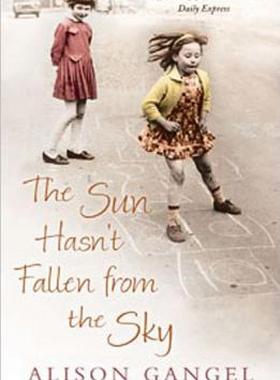 【预售】The Sun Hasn't Fallen from the Sky