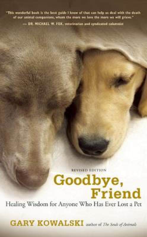 【预售】Goodbye, Friend: Healing Wisdom for Anyone Who Has
