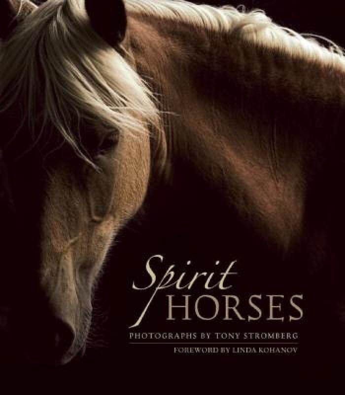 【预售】Spirit Horses