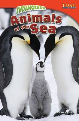 【预售】Endangered Animals of the Sea