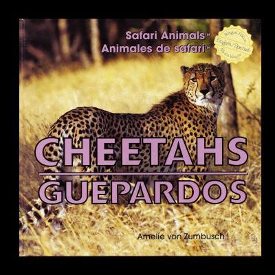 【预售】Cheetahs/Guepardos