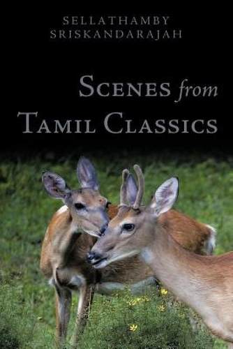 【预售】Scenes from Tamil Classics