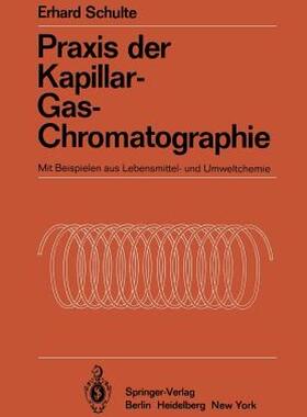 【预售】Praxis Der Kapillar-Gas-Chromatographie: Mit